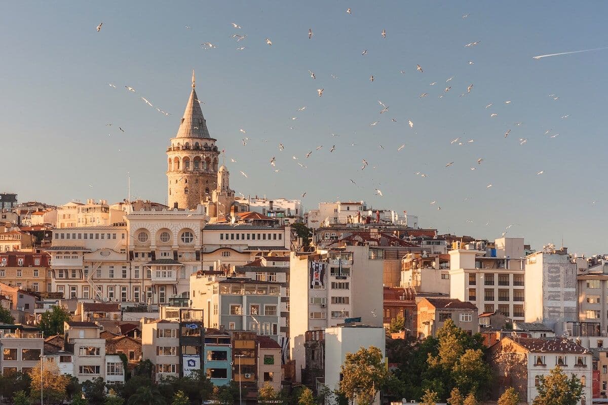Istanbul skyline with Bosphorus bridge and modern financial district at dusk